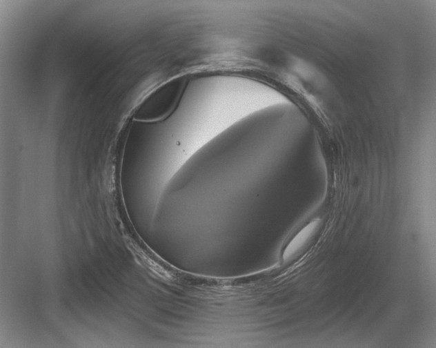 X0000084021459200702161215