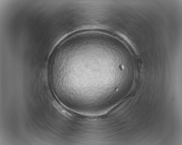 X0000084021460200702161215