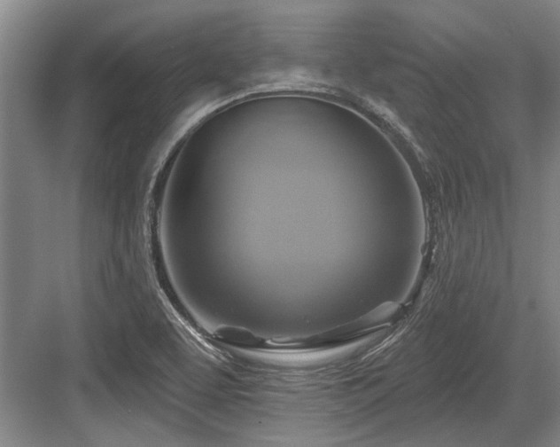 X0000084021463200702161215