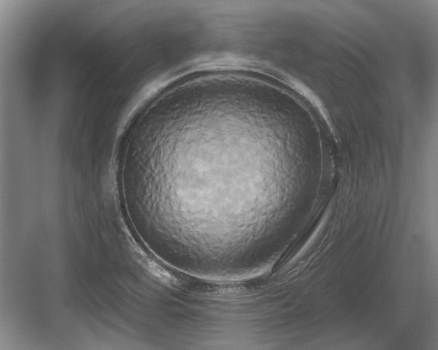 X0000084021464200702161215