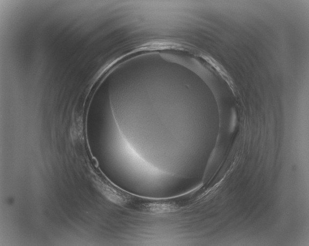 X0000084021465200702161215