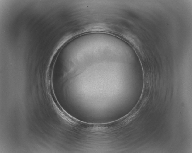 X0000084021466200702161215