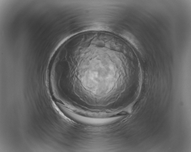 X0000084021468200702161215