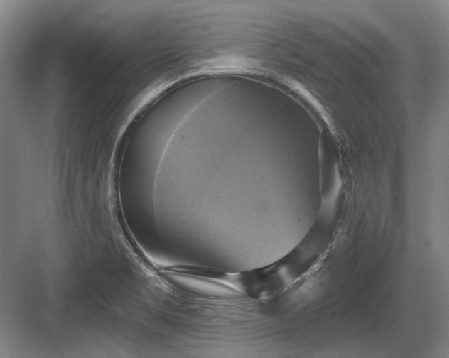 X0000084021469200702161215