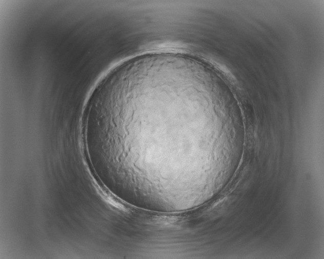 X0000084021470200702161215