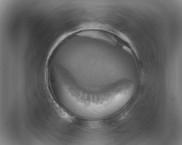 X0000084021472200702161215