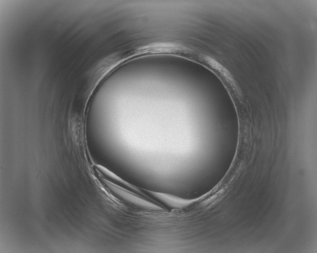 X0000084021473200702161215