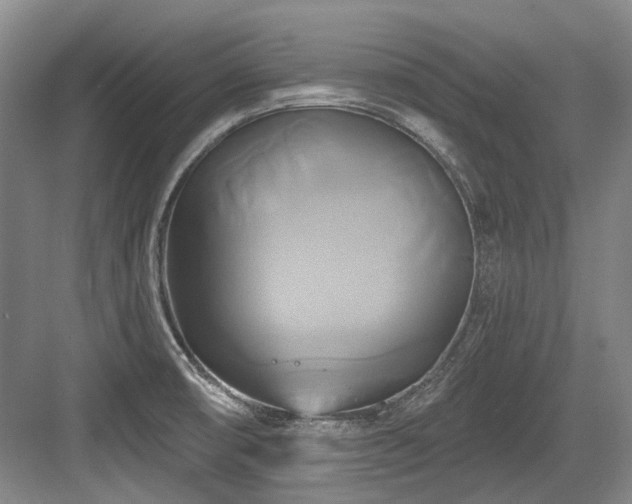 X0000084021474200702161215
