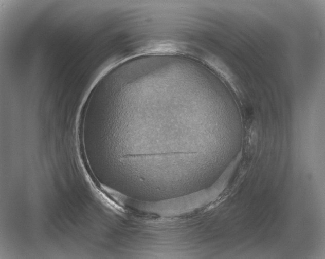 X0000084021475200702161215