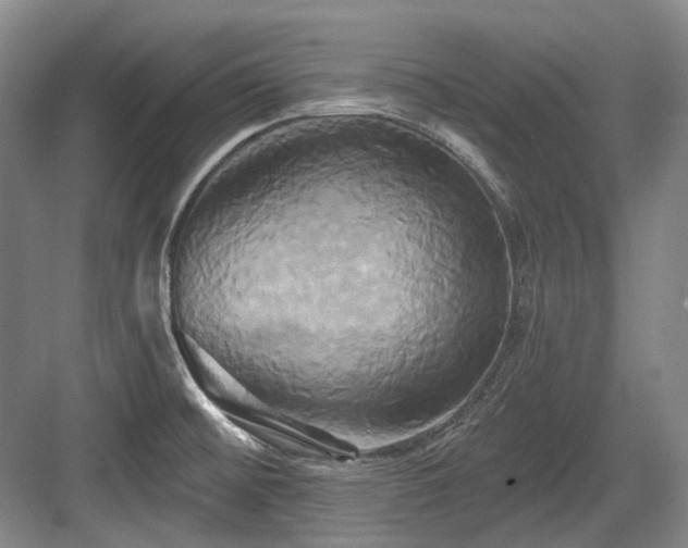 X0000084021476200702161215