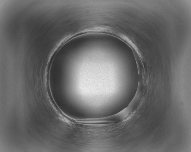 X0000084021477200702161215
