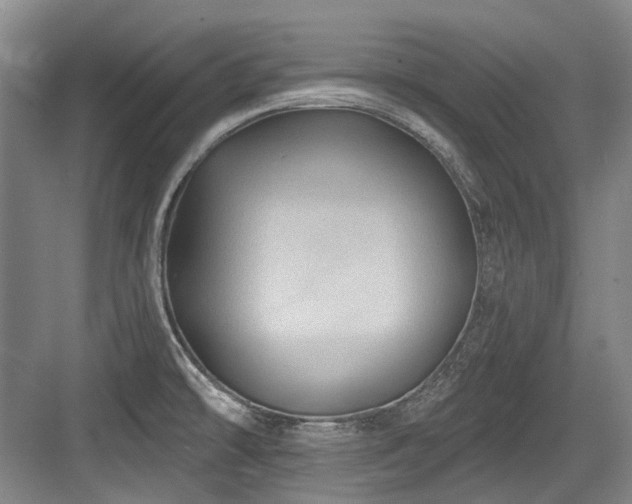 X0000084021478200702161215