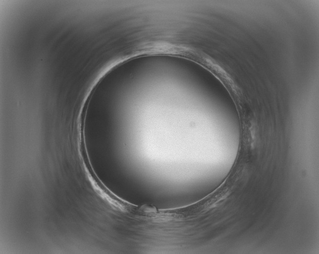 X0000084021479200702161215