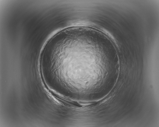 X0000084021480200702161215