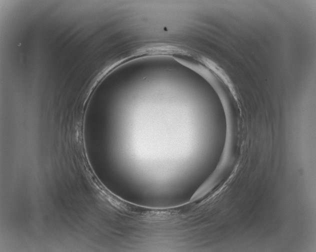 X0000084021481200702161215