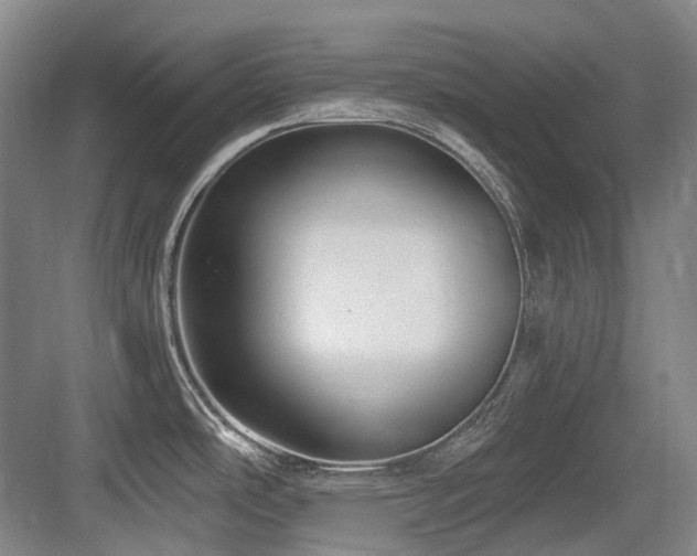 X0000084021486200702161215