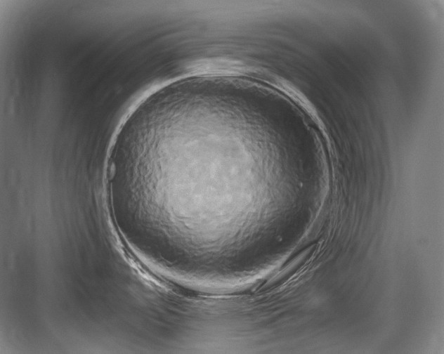 X0000084021488200702161214