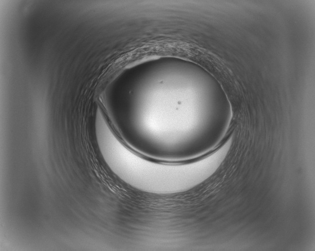 X0000084021489200702161214
