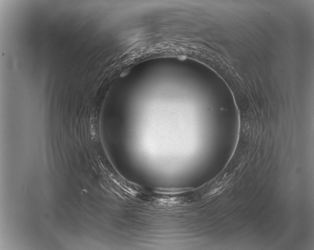 X0000084021490200702161214