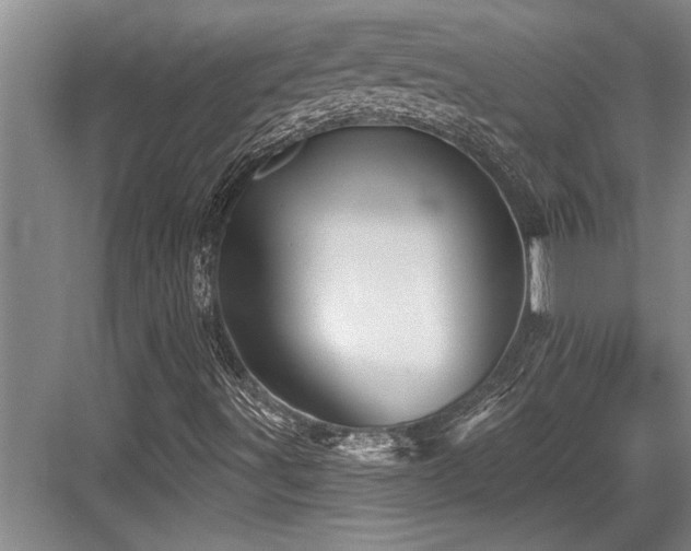 X0000084021491200702161214