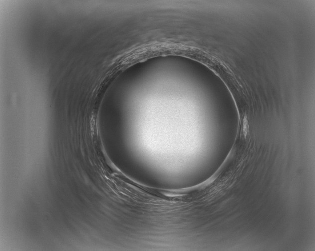 X0000084021492200702161214