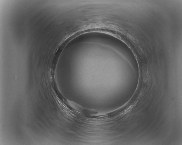 X0000084021497200702161214