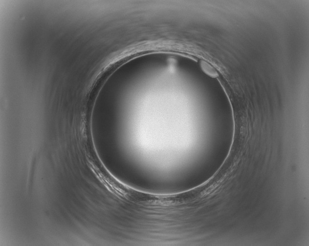 X0000084021499200702161214
