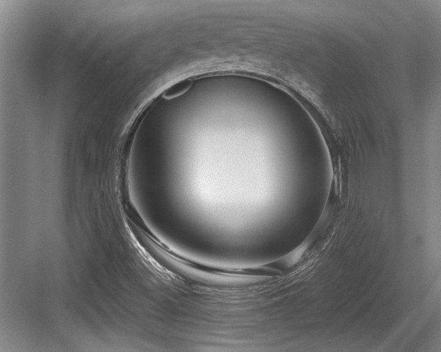 X0000084021500200702161214