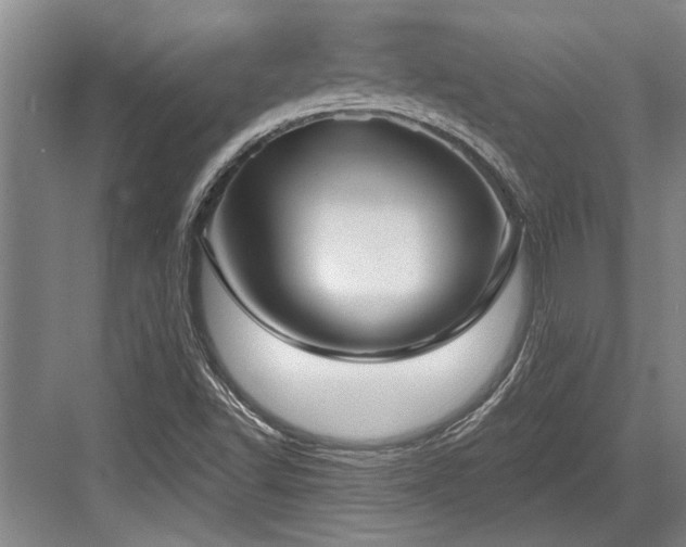 X0000084021502200702161214