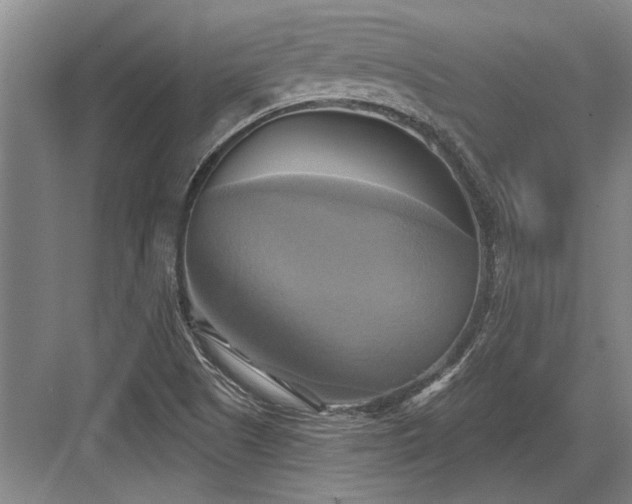 X0000084021505200702161214