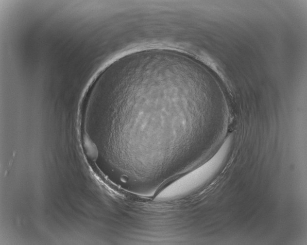 X0000084021508200702161214