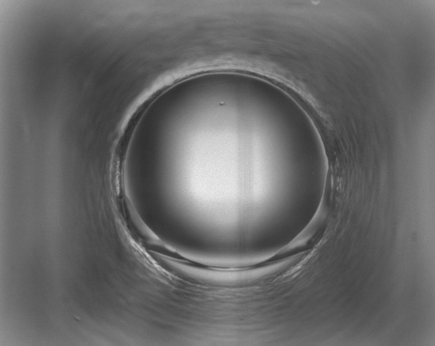 X0000084021510200702161214