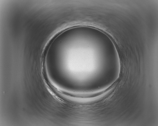 X0000084021511200702161214
