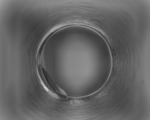 X0000084021515200702161214