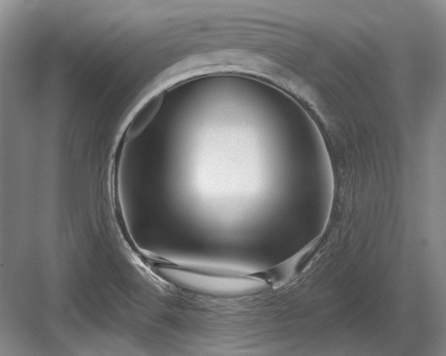 X0000084021516200702161214