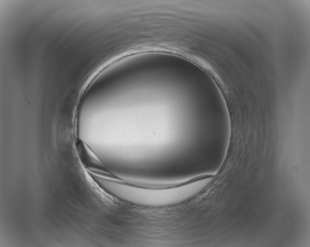 X0000084021524200702161214
