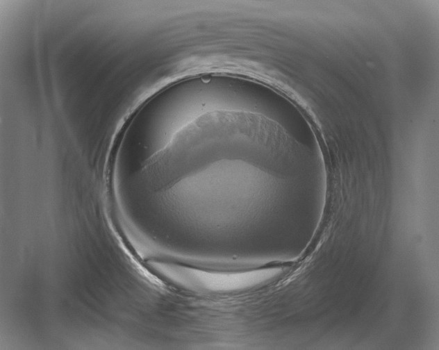 X0000084021525200702161214