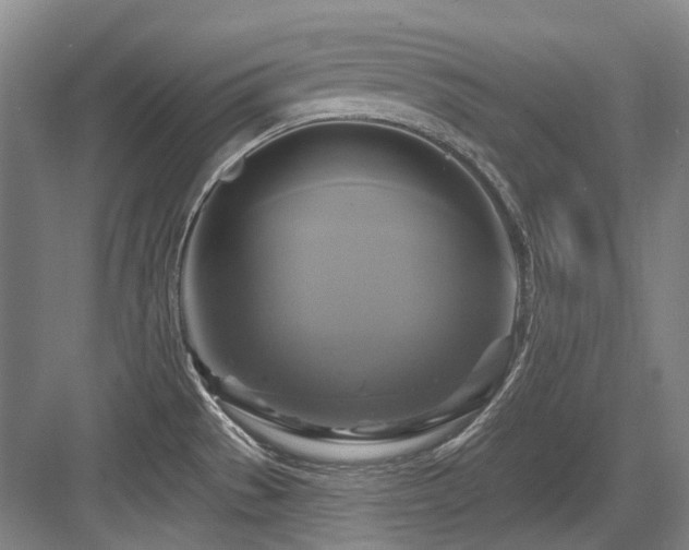 X0000084021529200702161214