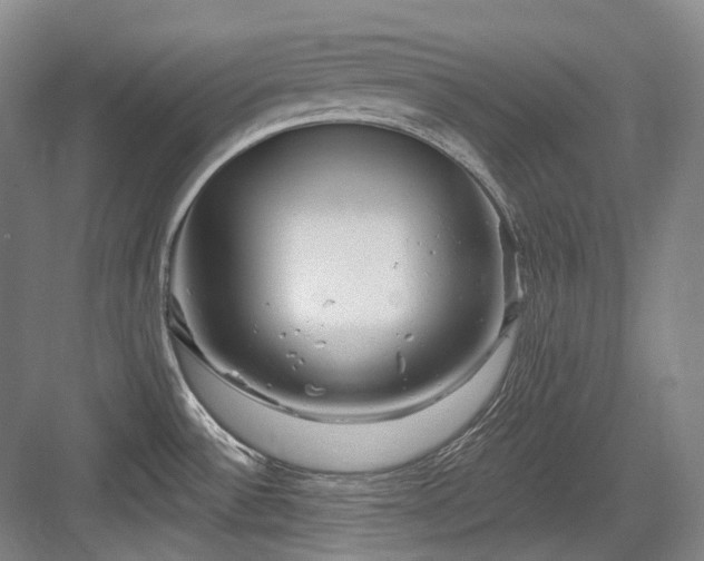 X0000084021532200702161214