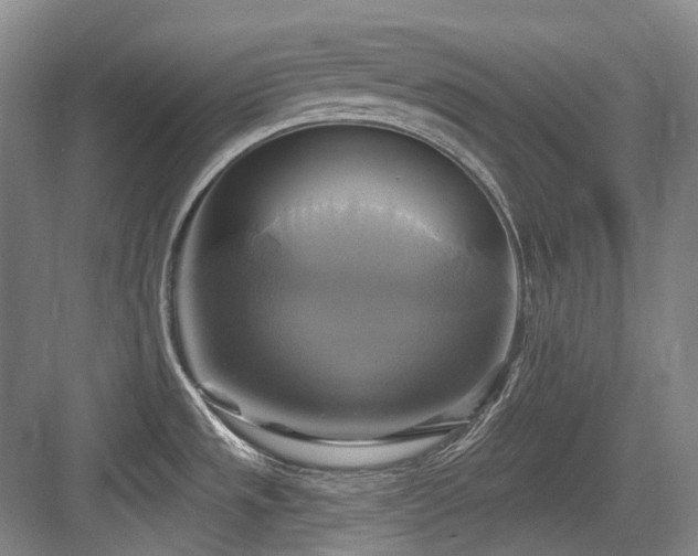 X0000084021533200702161214