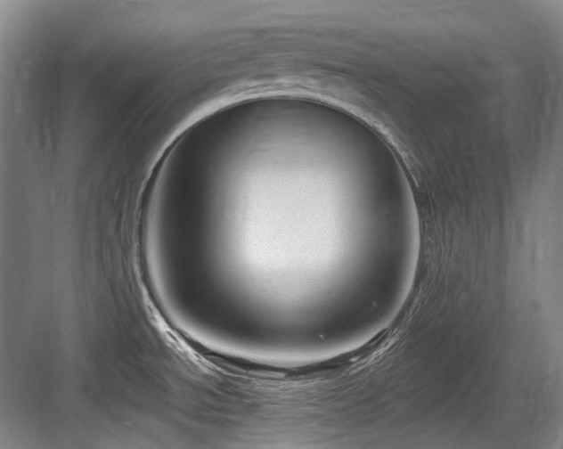 X0000084021534200702161214