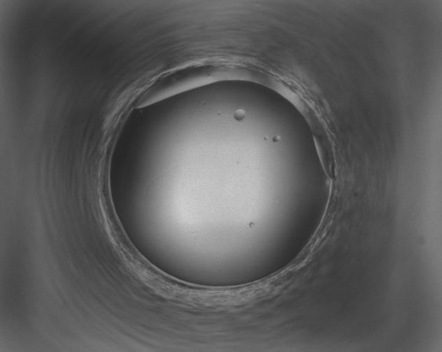 X0000084020001200702232244