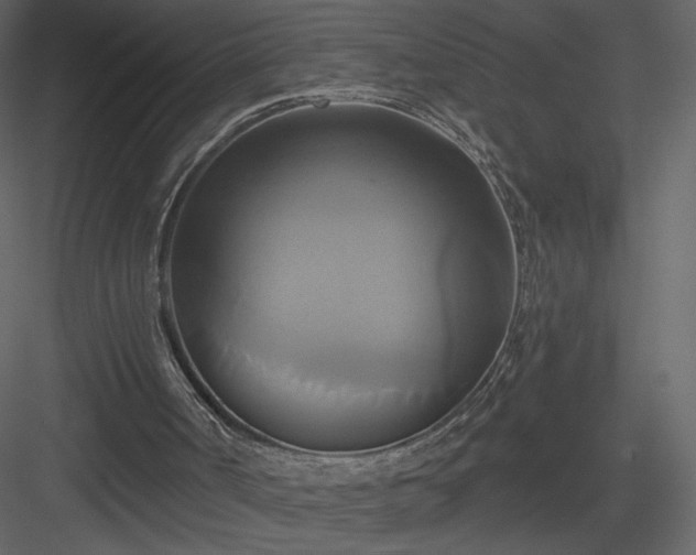 X0000084020002200702232244