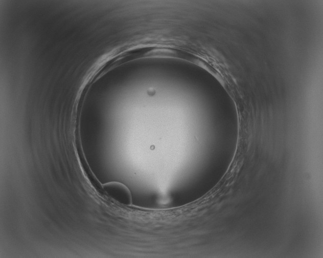 X0000084020003200702232244