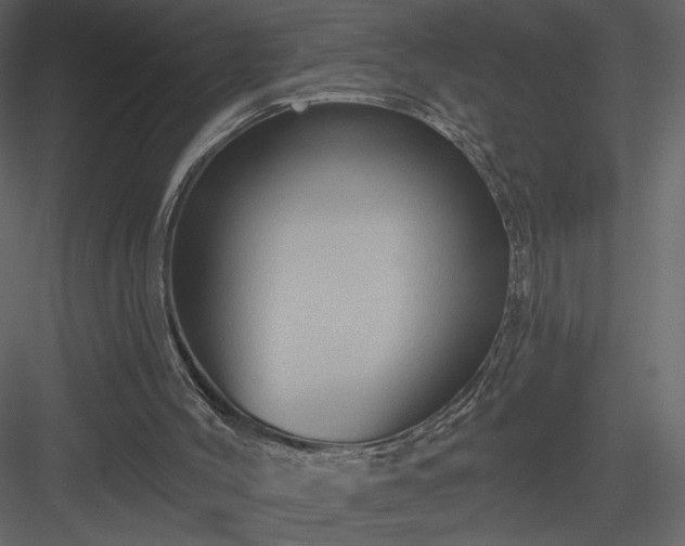 X0000084020004200702232244