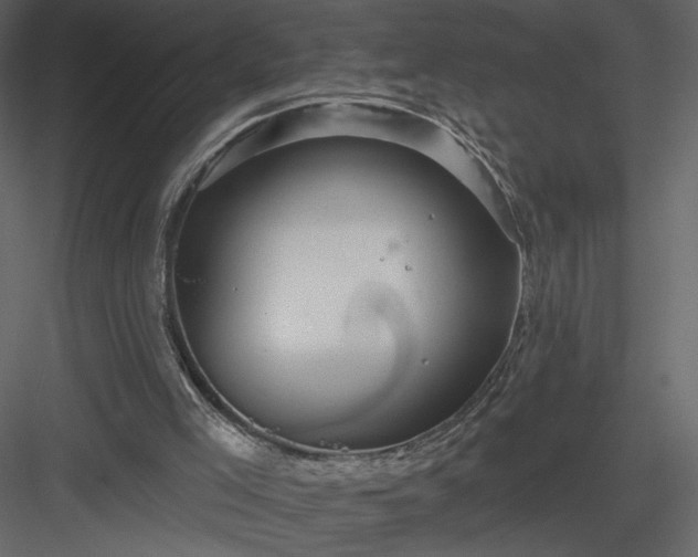 X0000084020005200702232244