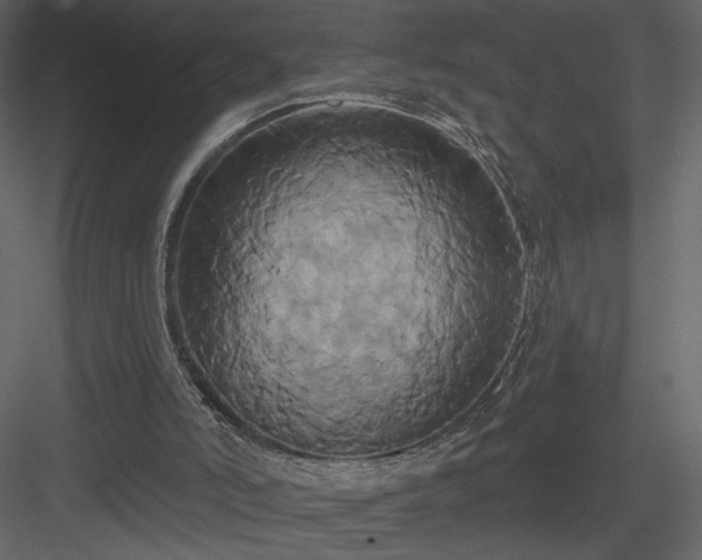 X0000084020006200702232244