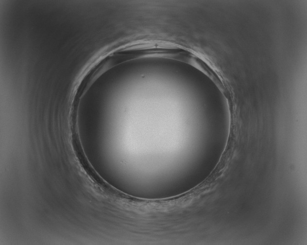 X0000084020007200702232244