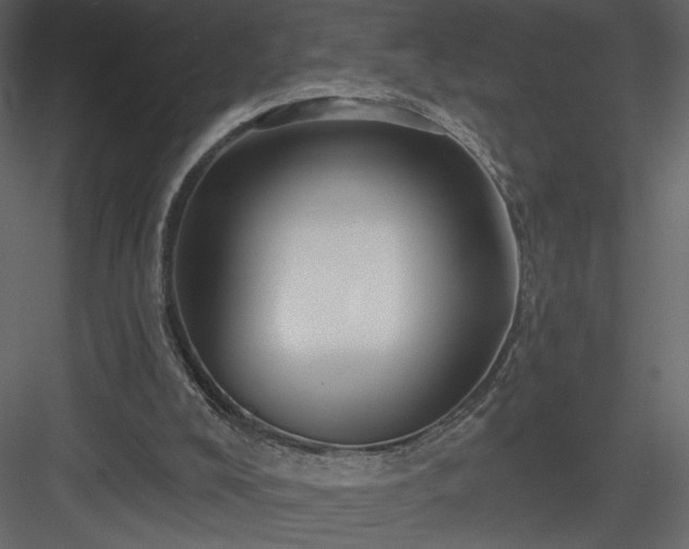 X0000084020008200702232244