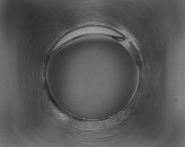 X0000084020009200702232244